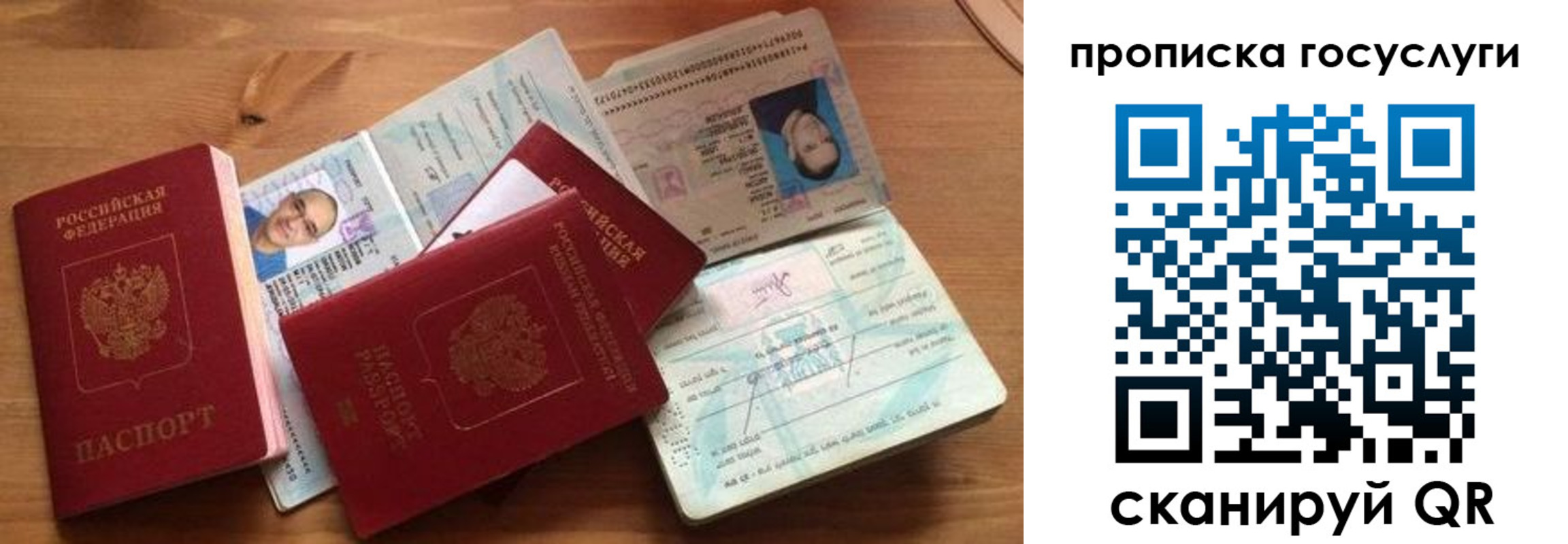 прописка гарантия в Тимашёвске